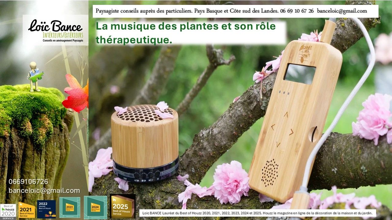 Loic BANCE, paysagiste Pays Basque, Paysagiste Landes, Paysagiste conseils aux particuliers.
