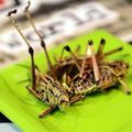Des étudiants créent de l'électricité gratuite et inépuisable grâce à des insectes