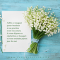 1er Mai
