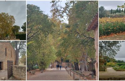 Auberge de l' Abbaye de Valmagne