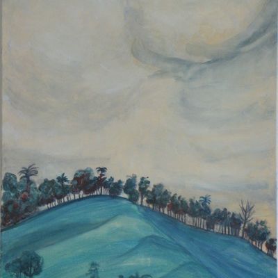 Concours/expo bibliothèque de Boquete