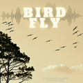 Bird Fly