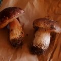 La saison des champignons