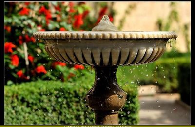 Fontaine d eau bien sculptee