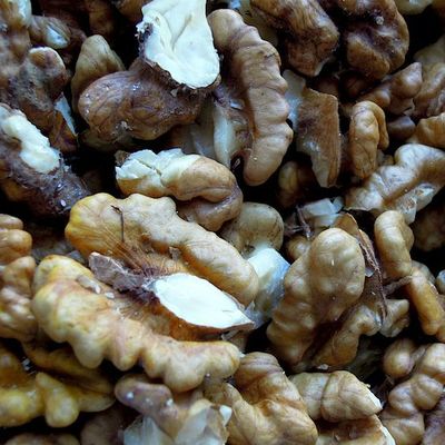 Gros plan à la noix