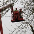 Elagage des arbres de l'aire de jeux