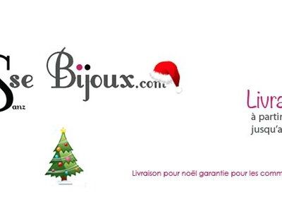 Livraison offerte jusqu'à Noël