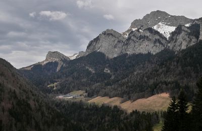 Désert et Grand Som