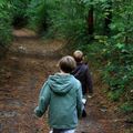 Promenons-nous dans le bois...