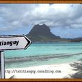 Tahitianguy Blog 