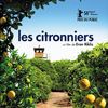 Les citroniers de Eran RIKLIS