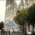 Place de la Cathédrale - Arbres