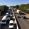 L'espèce humaine a aussi le droit d'être préservée à Arles !