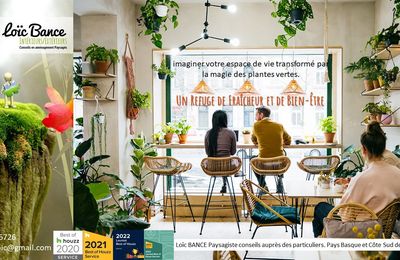 🍀Rafraîchir Mon Intérieur en Ces Chaleurs Estivales : L'Oasis Verte à la Maison 
