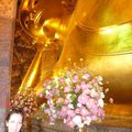 Temple Wat Pho _ Bangkok