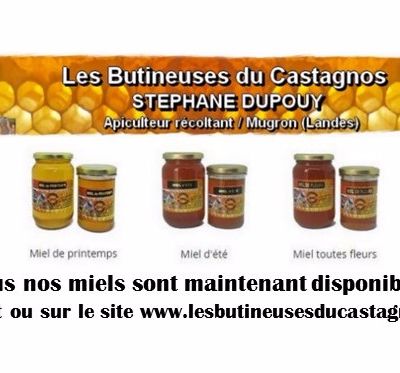 LES BUTINEUSES DU CASTAGNOSStéphane Dupouy