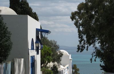 Promenade à Sidi Bou Saïd