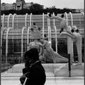 les oiseaux du forum des halles