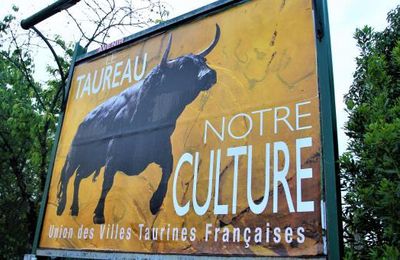 Le Taureau s'affiche dans le Midi de la France