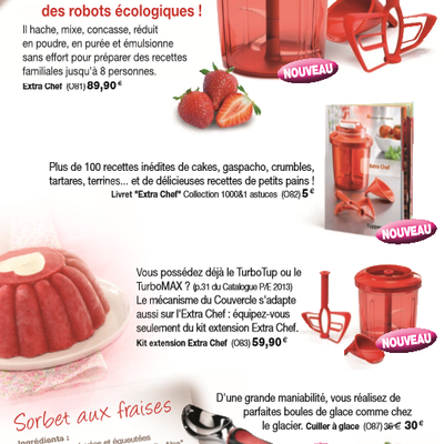 Catalogue de juin 2013 en exclusivité ;-)