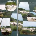 Camargue 2007 - Chevaux