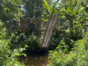 De la nature avant tout