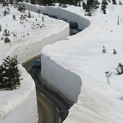 Bon allez, c'est pas encore le printemps