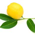 Lemon curd ou le beurre confiture aux citrons