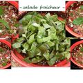 Salade fraîcheur aux 3 oignons -