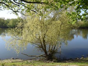 Sur les rives du Cher à Tours le 9 avril 2025