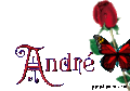 ANDRE, ANDREA, ANDREE