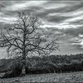 Paysage sur la route des Aix d'Angilon (Cher)