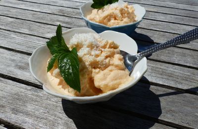 Yaourt glacé au melon et à la noix de coco (frozen yogurt)
