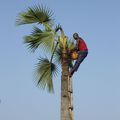 Une étape imprévue a Soubakaniédougou