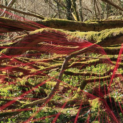 TRACES DE LUMIERE EN PLEINE NATURE