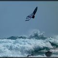 TAO ET LE WINDSURF REPORT DU 30.07.2014 ...