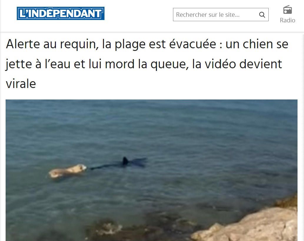 Alerte au siensien