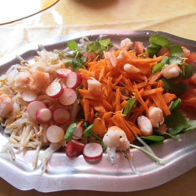 SALADE VIETNANMIENNE à ma façon 2PP