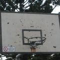 ZB_Basket Time