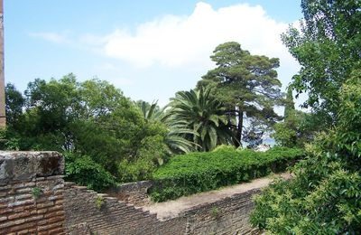 le palais de Charles Quint