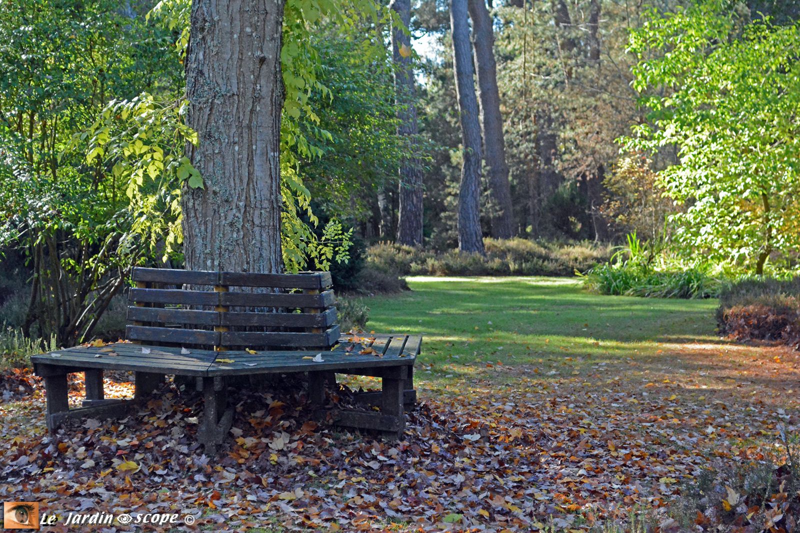 Banc hexagonal - Arboretum des Grandes Bruyères (45)