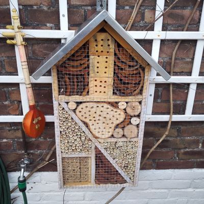 Dans mon potager, il y a...