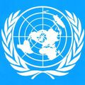 L'ONU : l'échelle internationale
