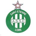 VOILA L ' ECUSSON DE ST ETIENNE