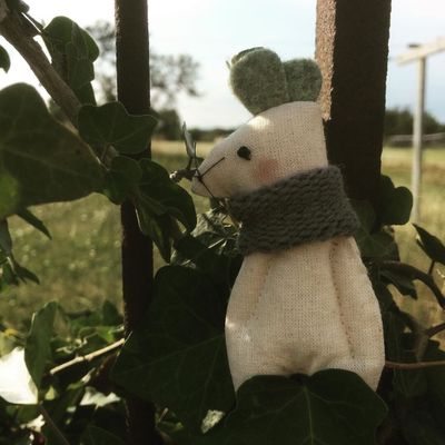 La souris du compost et le lierre...