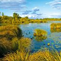 Le Parc naturel régional de la Brenne