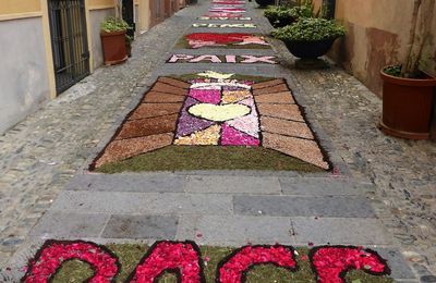 Infiorata del Corpus Domini : Belle Italie !