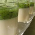 Crème au lait de coco, et coulis de kiwi