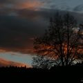 " Le ciel rouge à la fin du jour,du beau temps