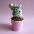 Amigurumi cactus